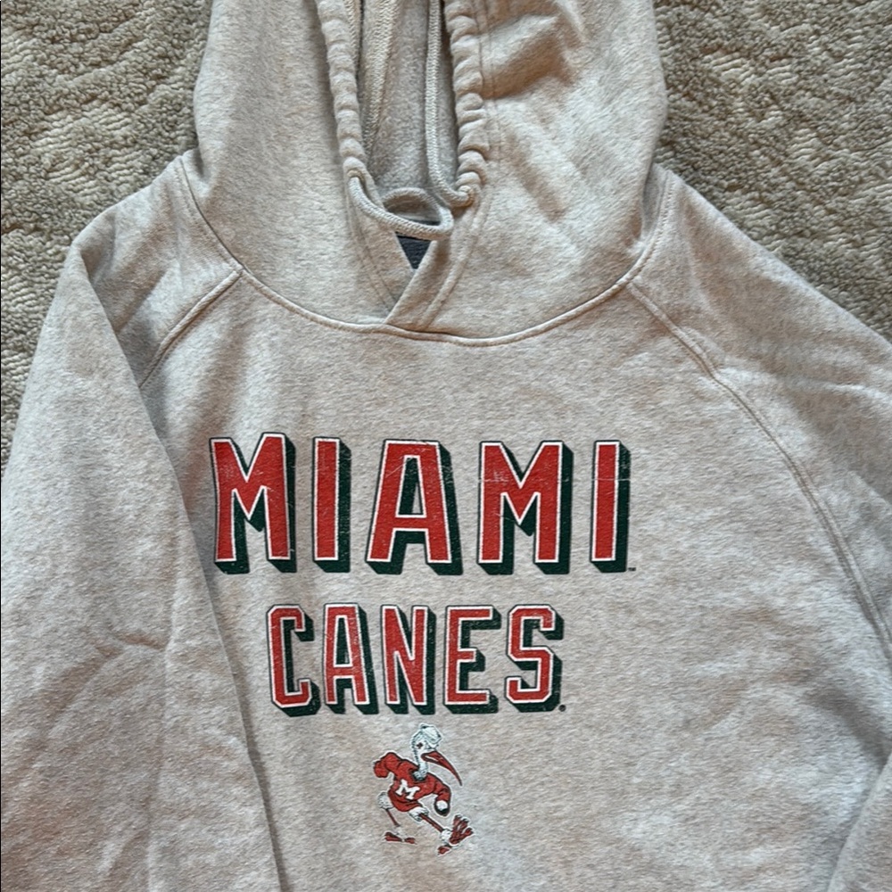 Champion Gray Miami Canes Hoodie